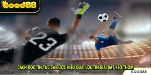 Cách Đọc Tin Tức Cá Cược Hiệu Quả: Lọc Tin Giả, Bắt Kèo Thơm