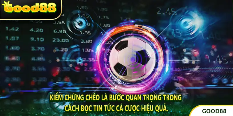 Kiểm chứng chéo là bước quan trọng trong cách đọc tin tức cá cược hiệu quả.