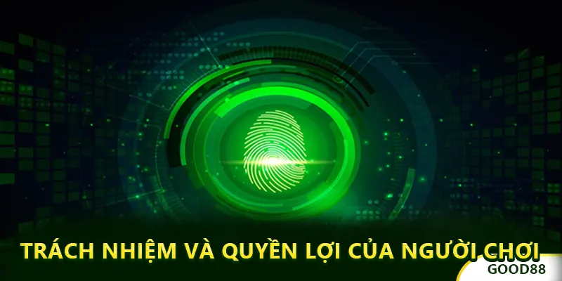 Trách nhiệm và quyền lợi của người chơi