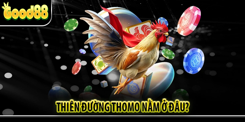 Thiên đường Đá Gà Thomo nằm ở đâu?